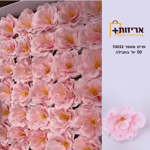 פרחי סבון אדמונית