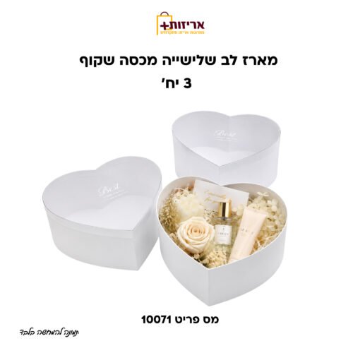 סט שלישיית לבבות עם מכסה שקוף