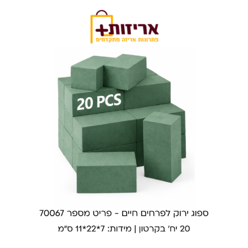 ספוג ירוק – לפרחים חיים