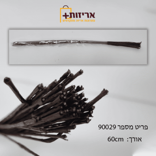 ברזל לשזירת זרים לראש