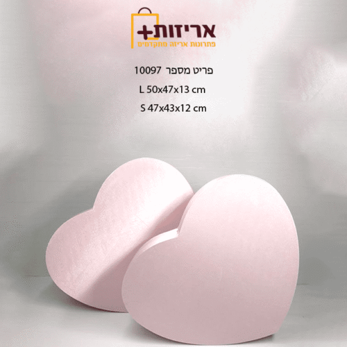 10097 ורוד 1