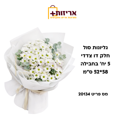 גליונות סול