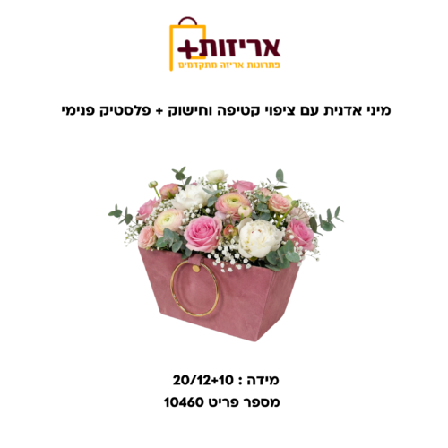 דף הבית - אריזות פלוס מיני אדנית עם ציפוי קטיפה וחישוק + פלסטיק פנימי