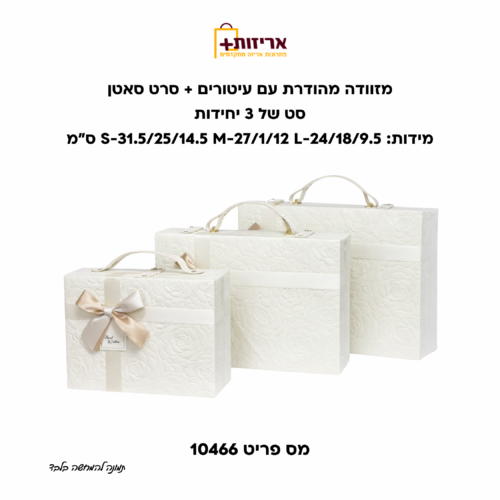 מזוודה מהודרת עם עיטורים