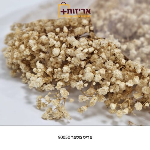 זר גיבסניות איכותי - טבעי