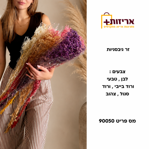 דף הבית - אריזות פלוס זר גיבסניות איכותי