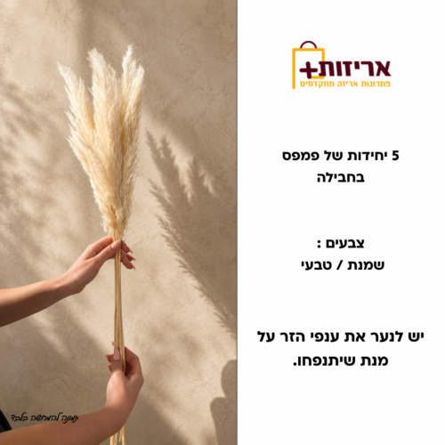 פמפס
