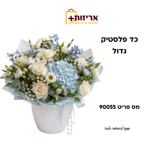 דף הבית - אריזות פלוס כד פלסטיק גדול למארזים