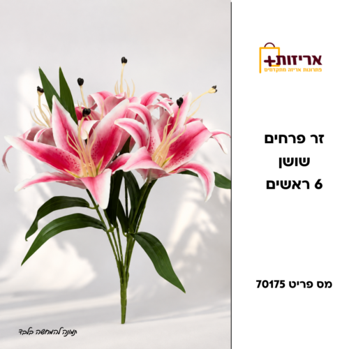 זר פרחים שושן 6 ראשים