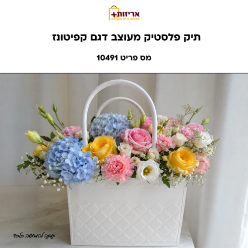 תיק פלסטיק עם טקסטורת מעויינים